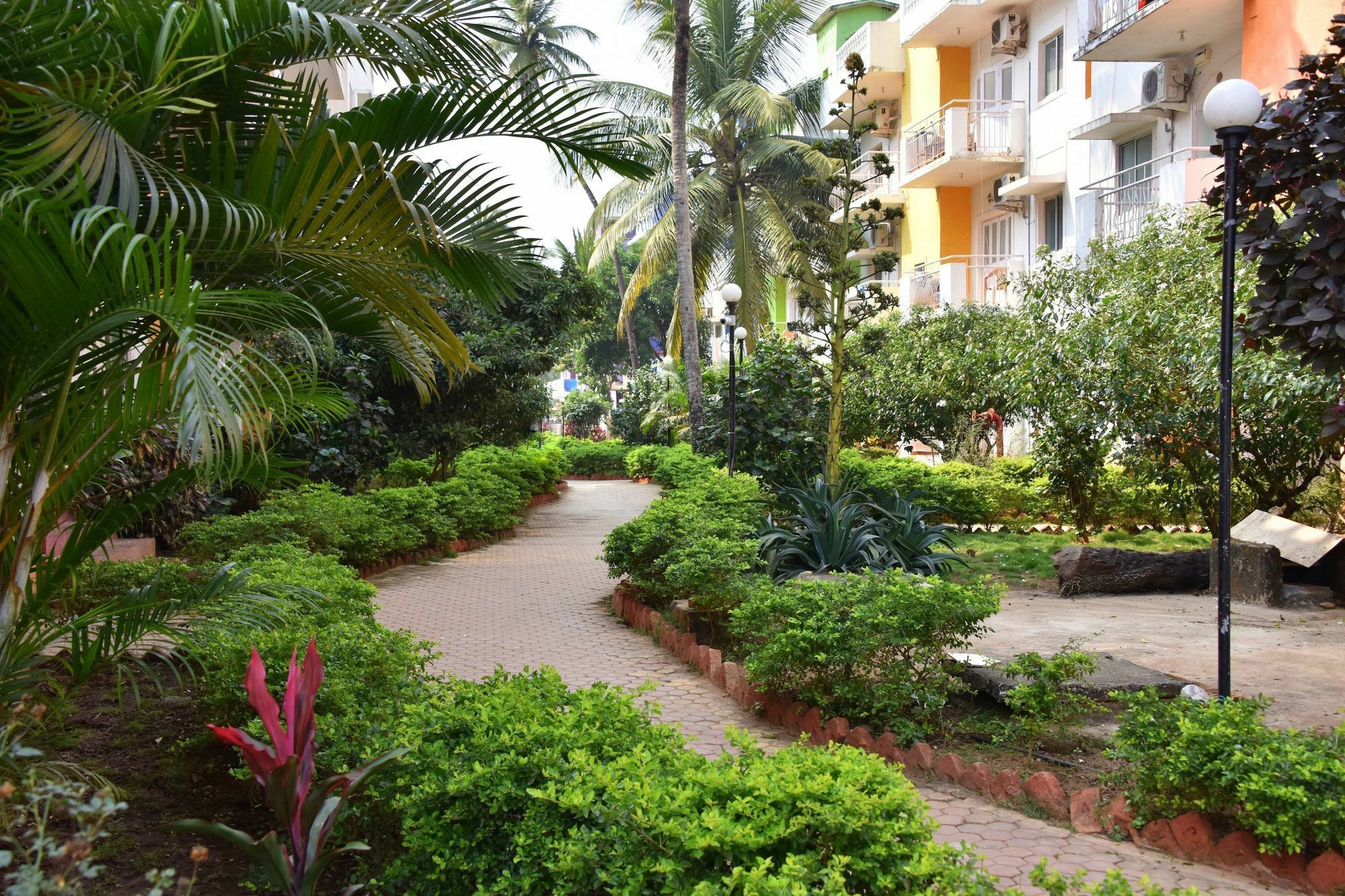 Q Lite Calangute Hotell Exteriör bild